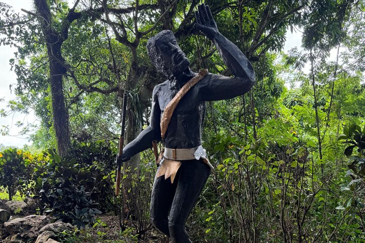 Tour privati e trasferimenti aeroportuali da (MBJ) a Negril — 2