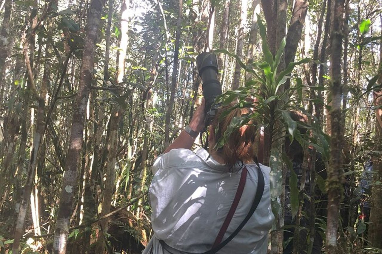 Tour privato di 3 giorni nel territorio dei lemuri ad Andasibe — 8