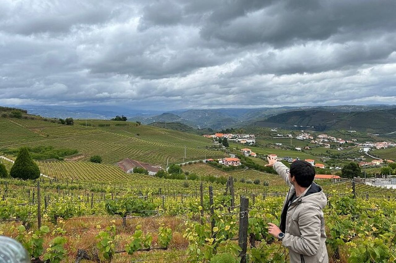 Tour per piccoli gruppi della Valle del Douro: 4 tenute, degustazione di vino e olio d'oliva — 7