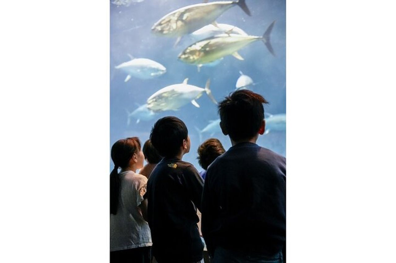 THE TOKYO PASS : Musei, giardini e attrazioni culturali a Tokyo — 7