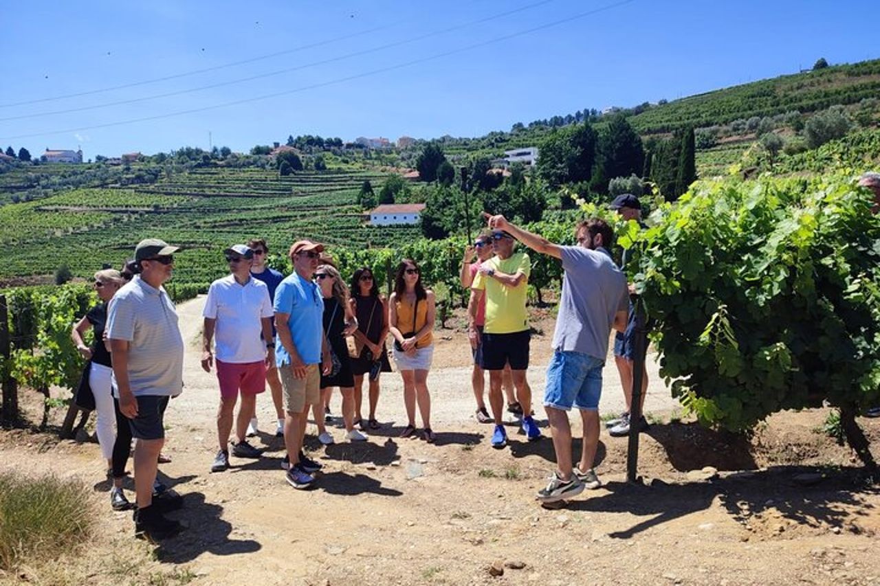 Tour della valle del Douro: 2 visite ai vigneti, crociera sul fiume, pranzo in cantina — 3