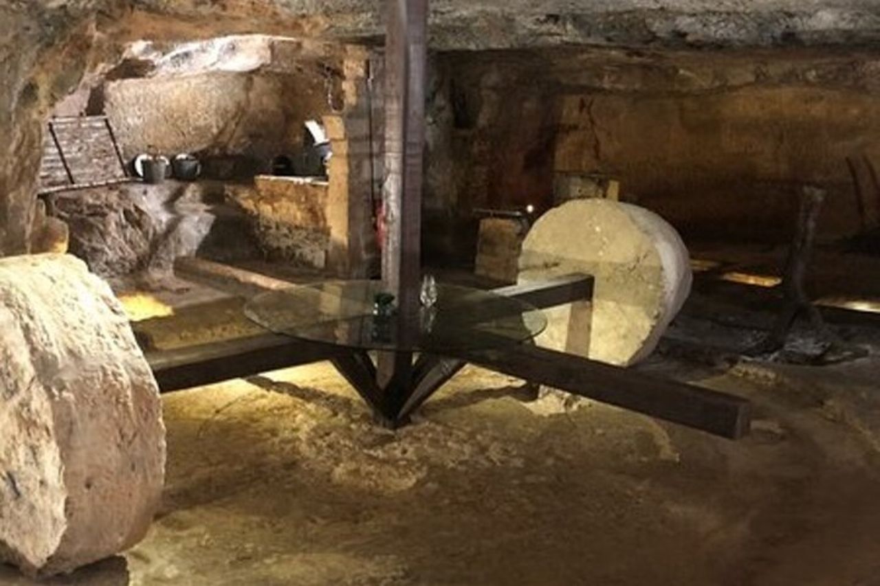 Degustazione di olio d'oliva pugliese con passeggiata tra gli uliveti — 5