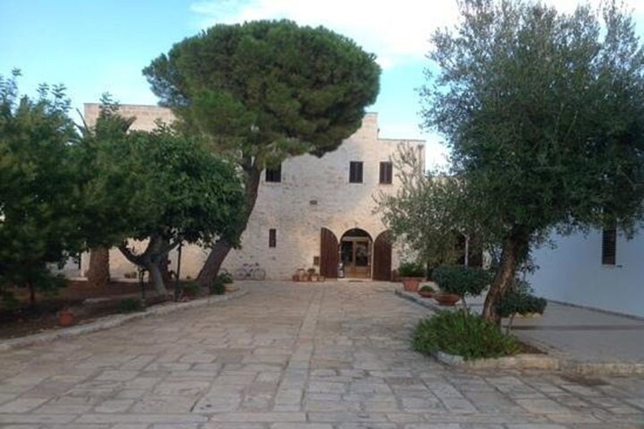 Degustazione di olio d'oliva pugliese con passeggiata tra gli uliveti — 6