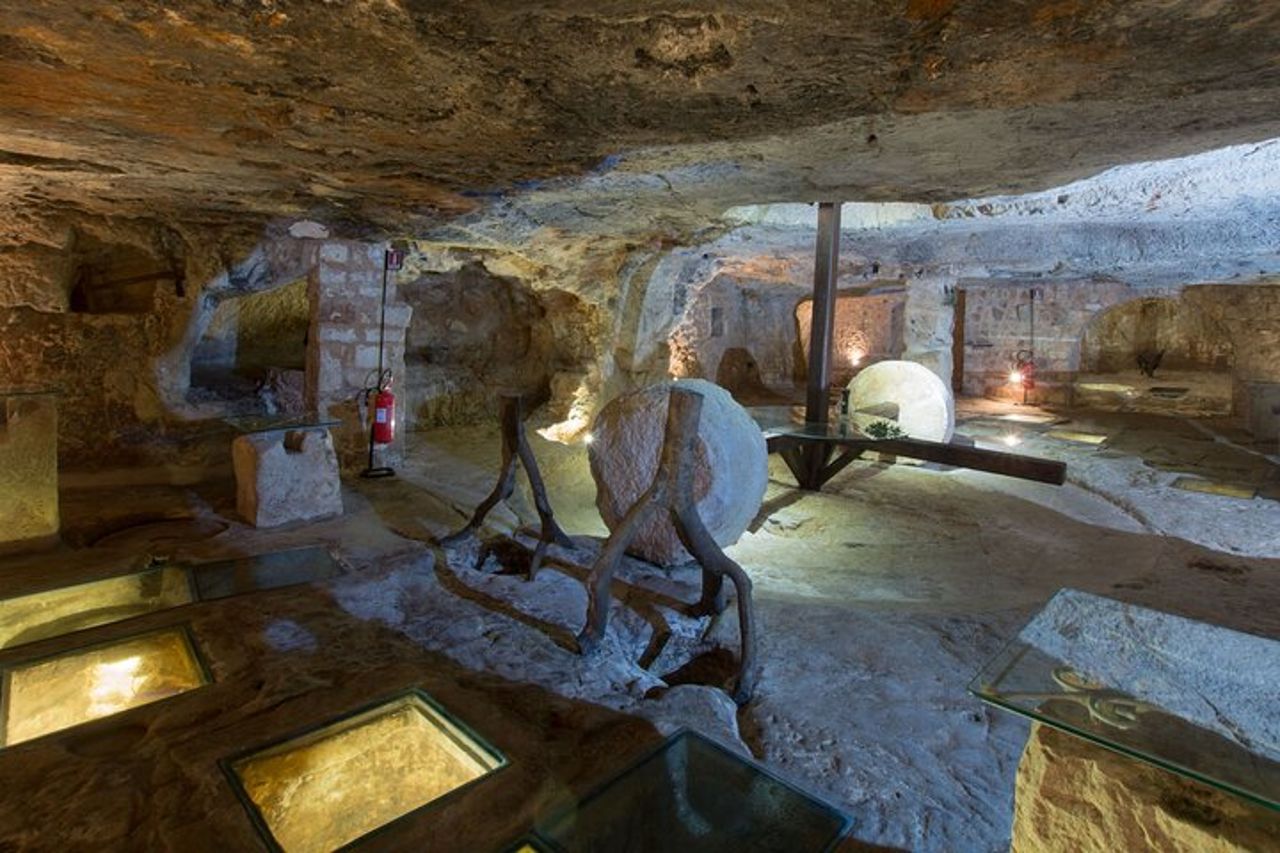 Degustazione di olio d'oliva pugliese con passeggiata tra gli uliveti — 7