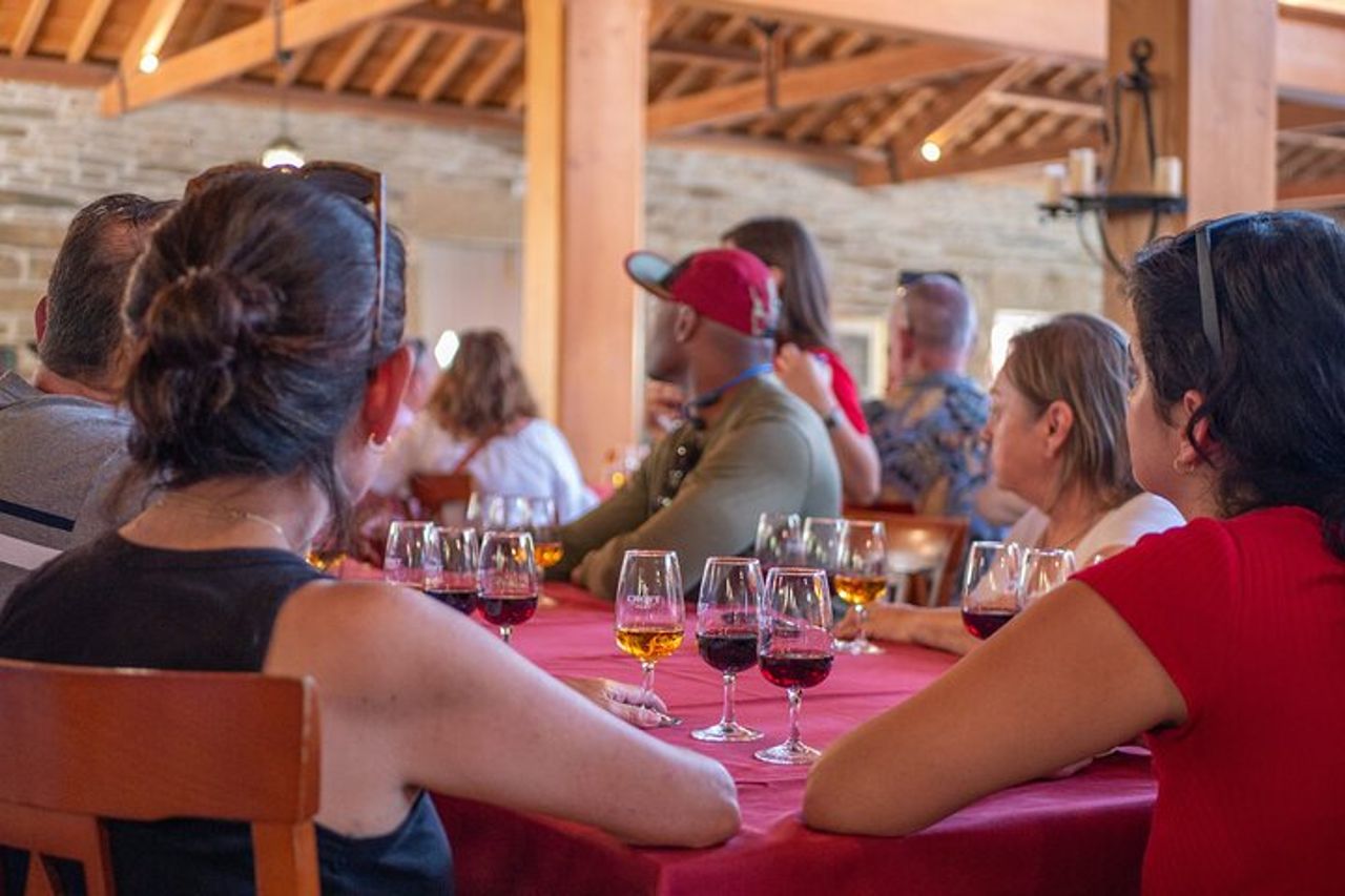 Tour completo del vino della Valle del Douro con pranzo, degustazioni di vini e crociera sul fiume — 3