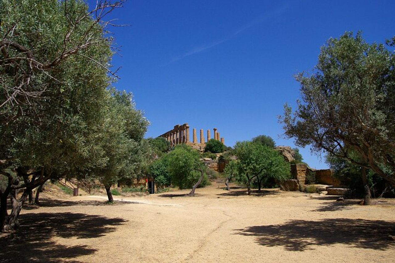 Agrigento Valle dei Templi Tour guidato archeologico privato — 8