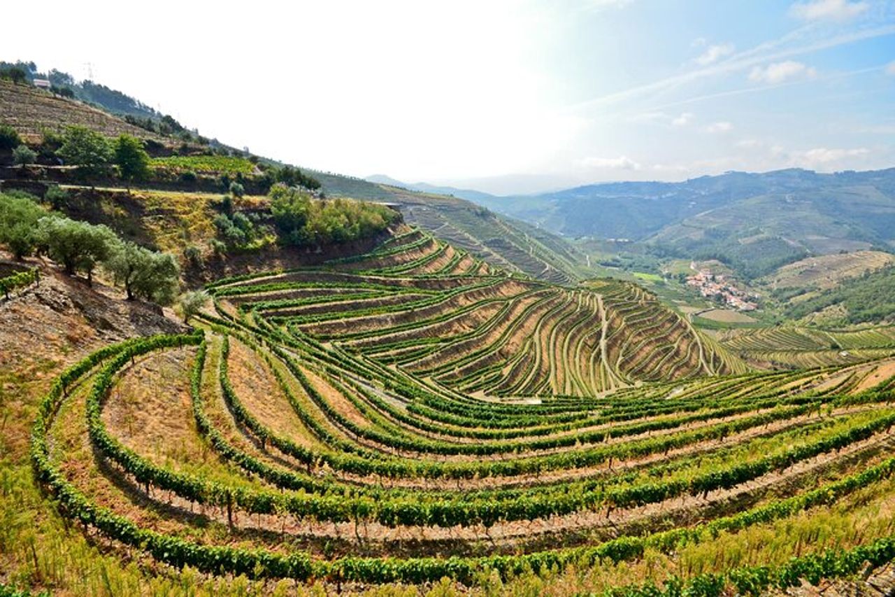 Tour enologico privato della valle del Douro: 2 aziende vinicole, pranzo e crociera — 8