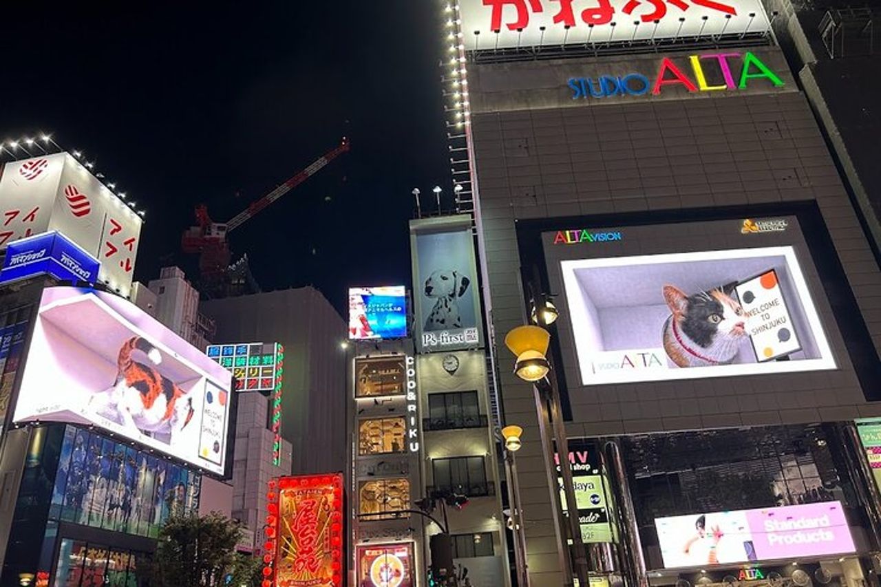 Tour privato della città di Tokyo — 2