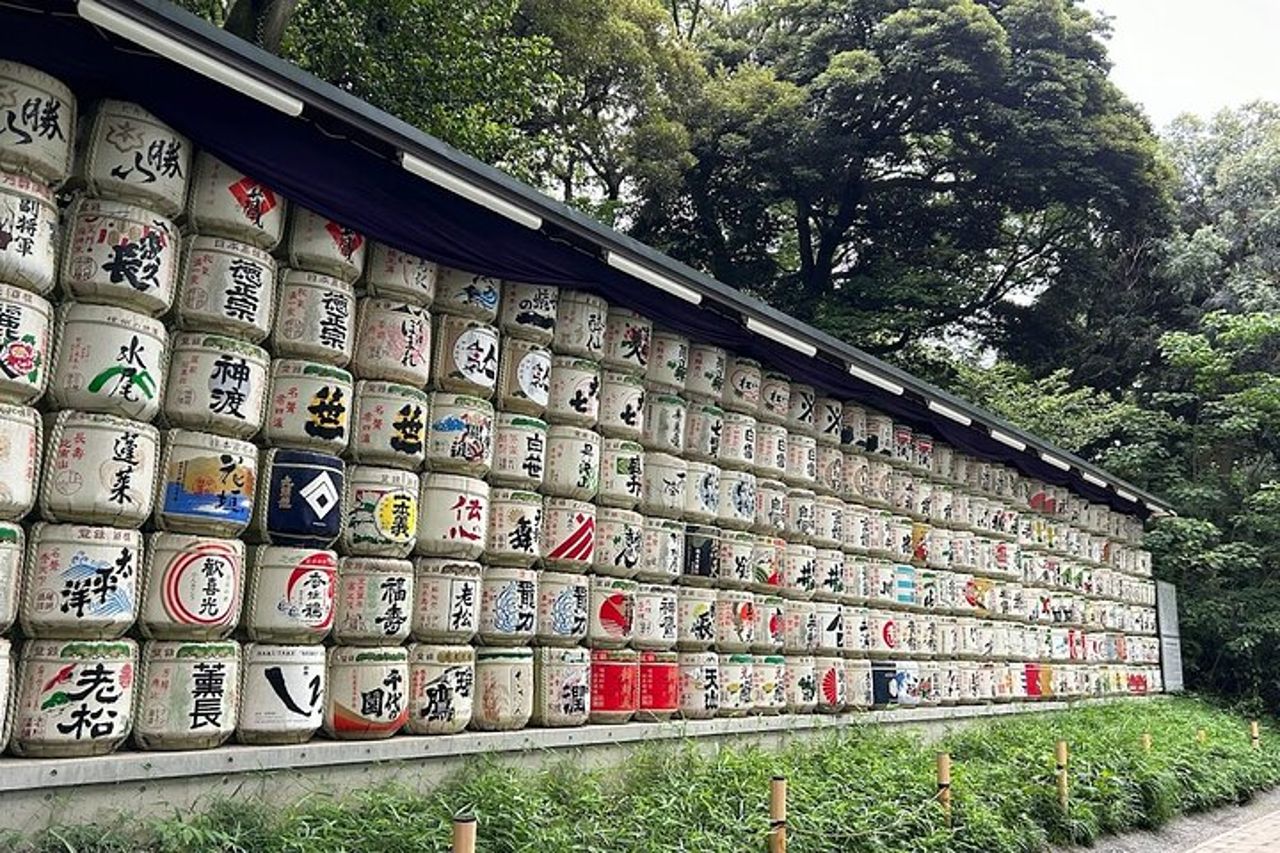 Tour privato della città di Tokyo — 8
