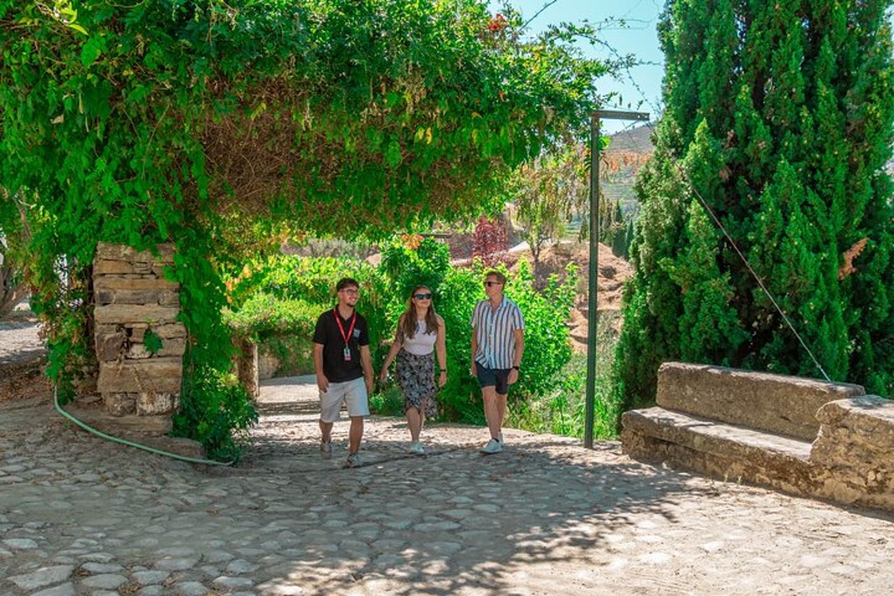 Tour enologico privato della valle del Douro: 2 aziende vinicole, pranzo e crociera — 9