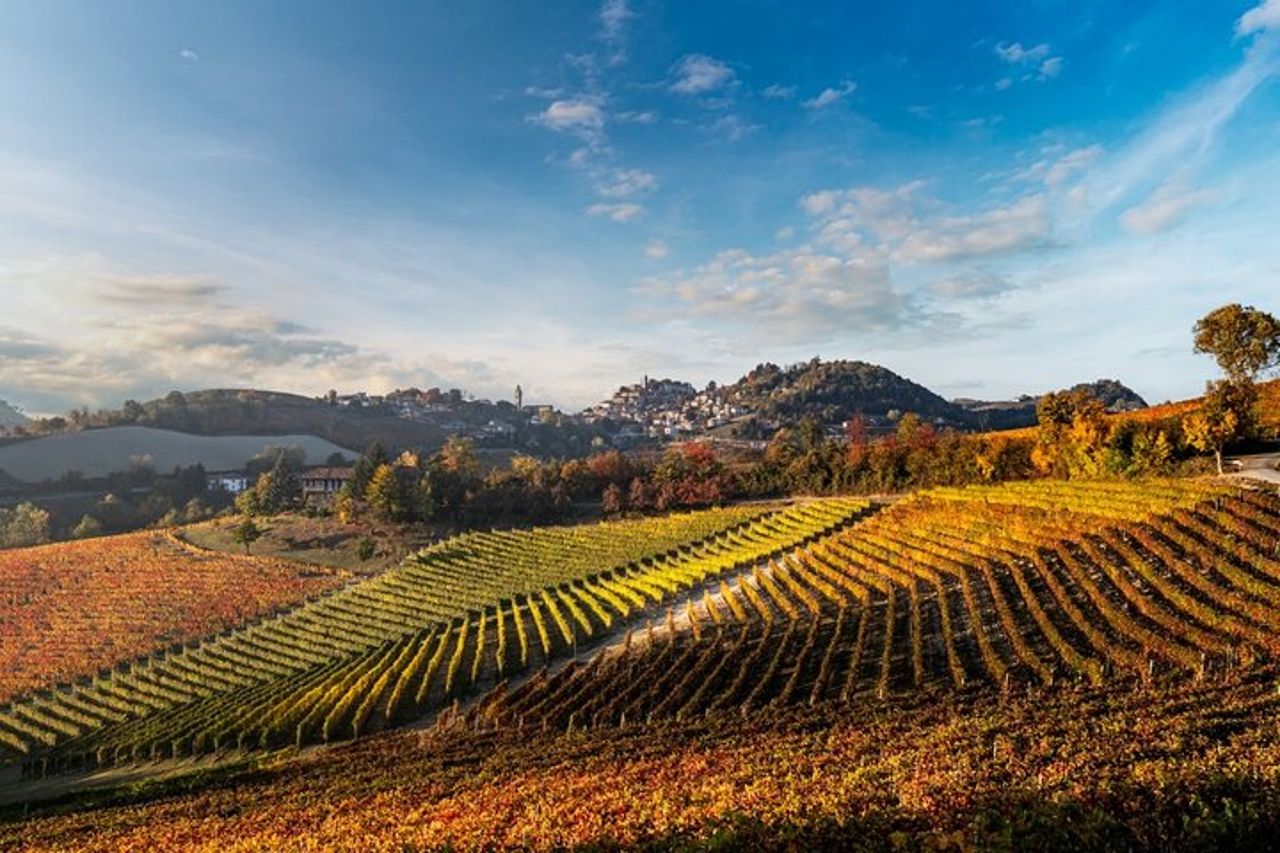 Esplora e assapora una degustazione dinamica di vini presso la Cantina Moscone — 5