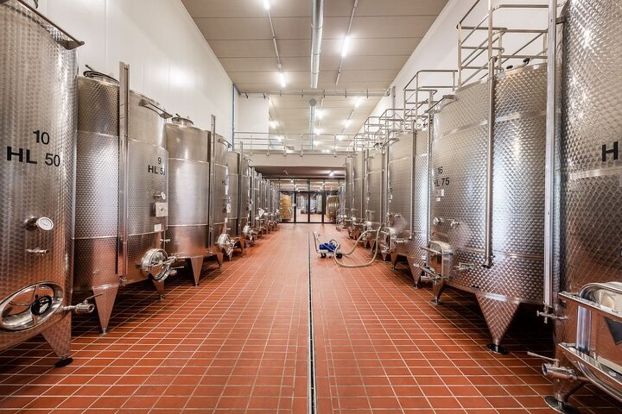 Esplora e assapora una degustazione dinamica di vini presso la Cantina Moscone — 6