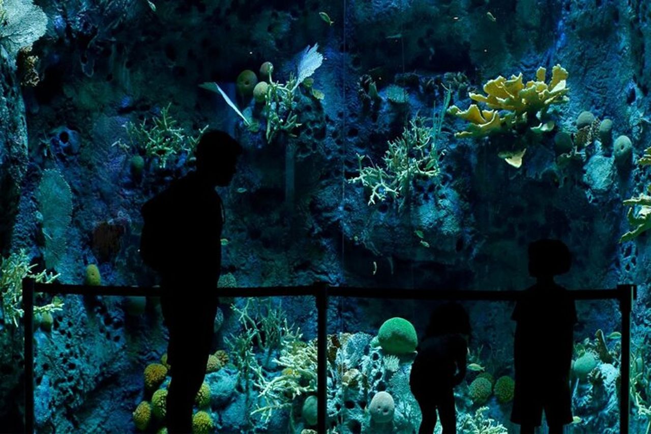 Chiuse del canale di Miraflores, Amador Causeway e tour privato del Biomuseo — 8