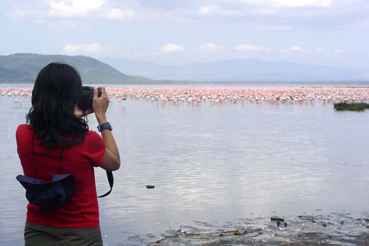 Tour di osservazione degli uccelli di un'intera giornata al Parco Nazionale del Lago Nakuru — 2