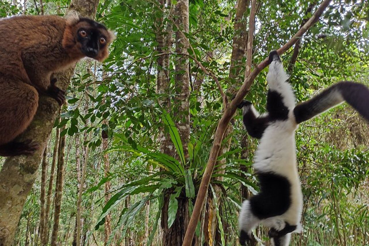 Tour delle meraviglie culturali e naturali del Madagascar — 7