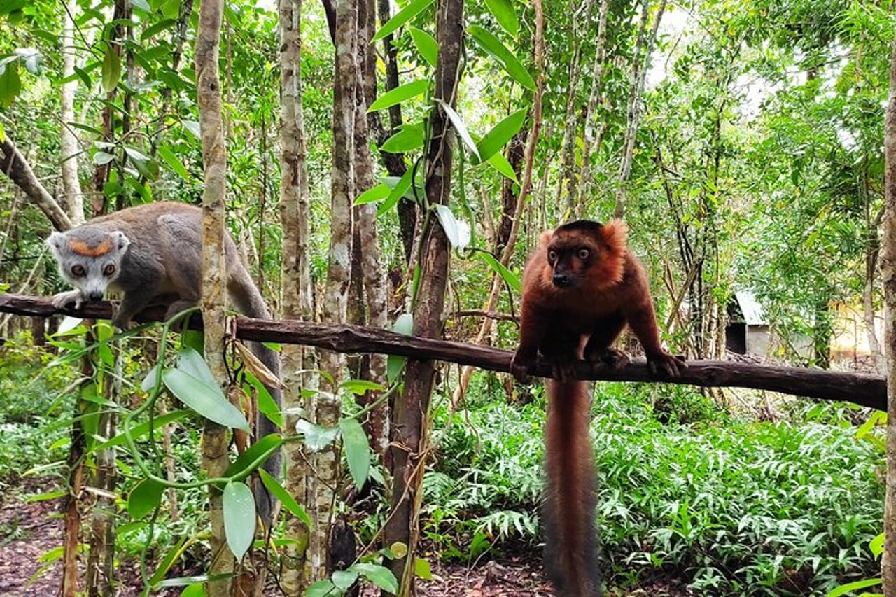 Tour delle meraviglie culturali e naturali del Madagascar — 3