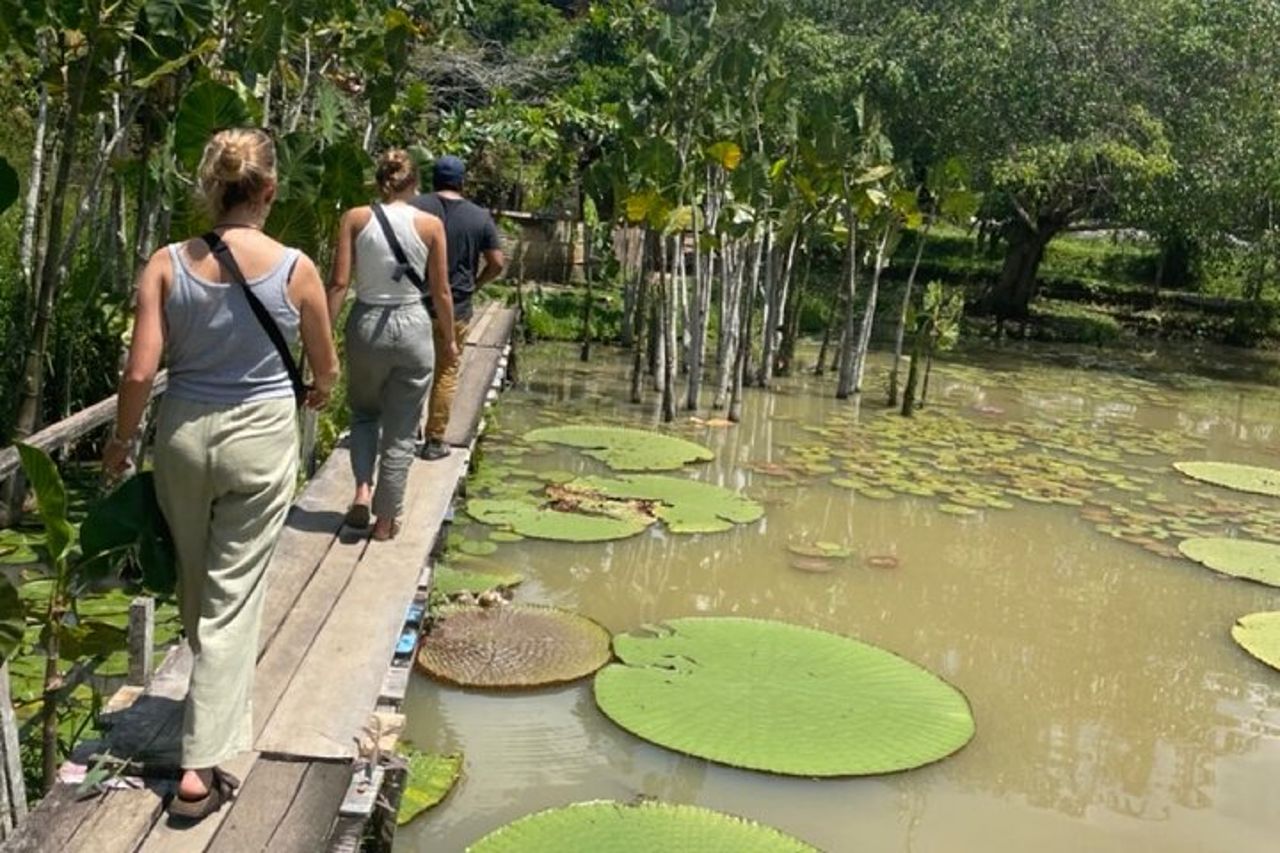 Tour guidato della giungla all-inclusive di 3 giorni da Iquitos — 9