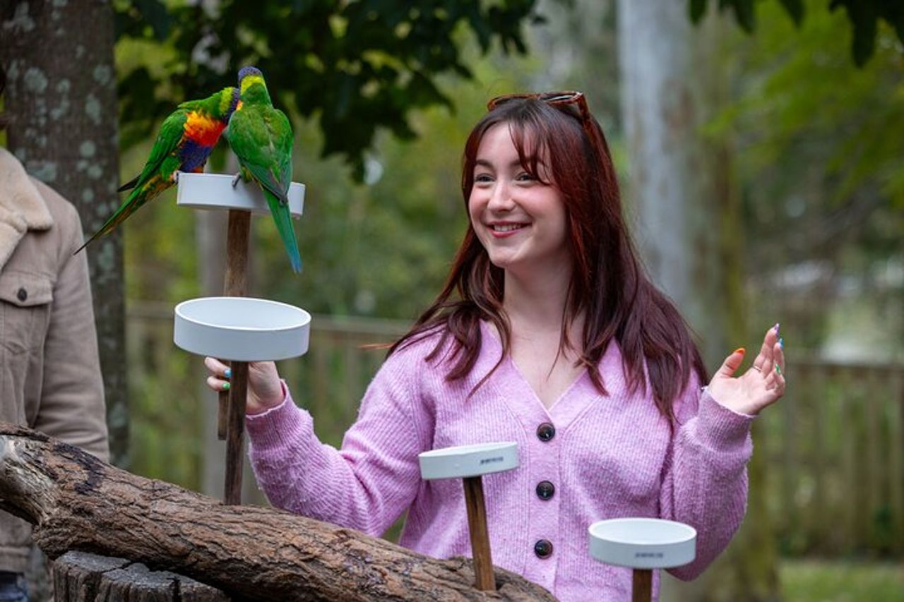Biglietto giornaliero per il Lone Pine Koala Sanctuary — 5