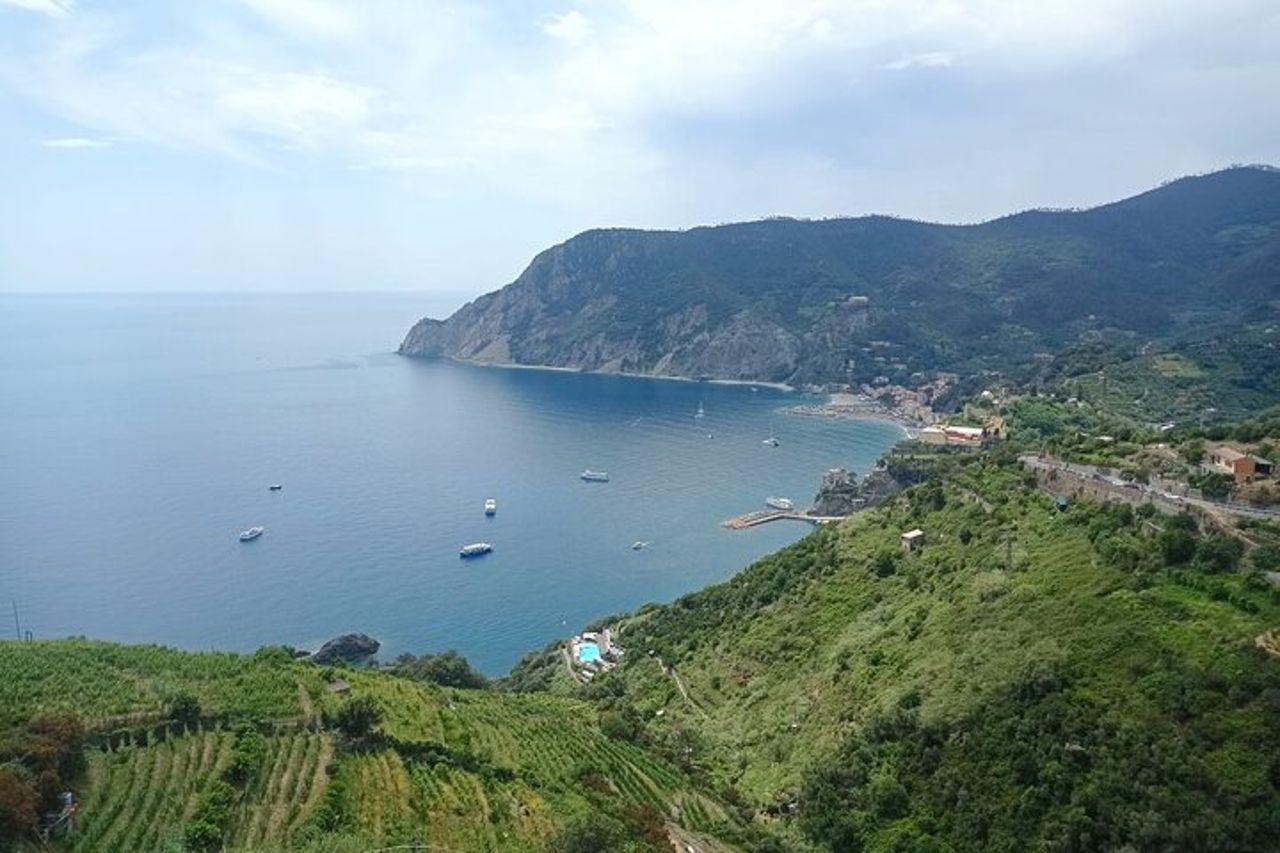 Tour privato delle Cinque Terre accessibile e senza problemi da Pisa — 2