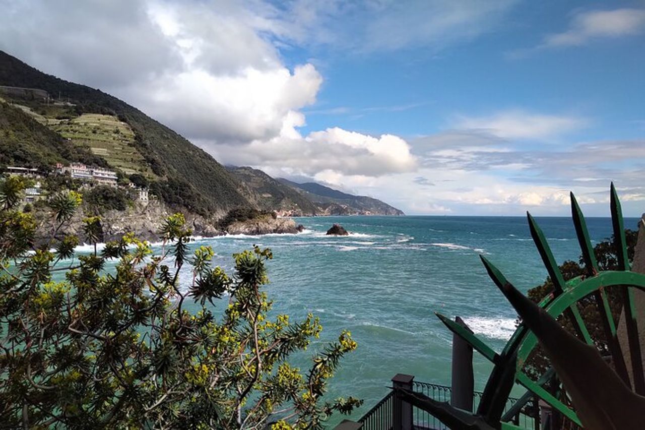 Tour privato delle Cinque Terre accessibile e senza problemi da Pisa — 9