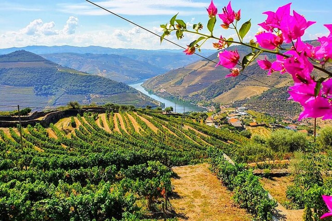 Valle del Douro con due aziende vinicole, gita in barca e pranzo da Porto