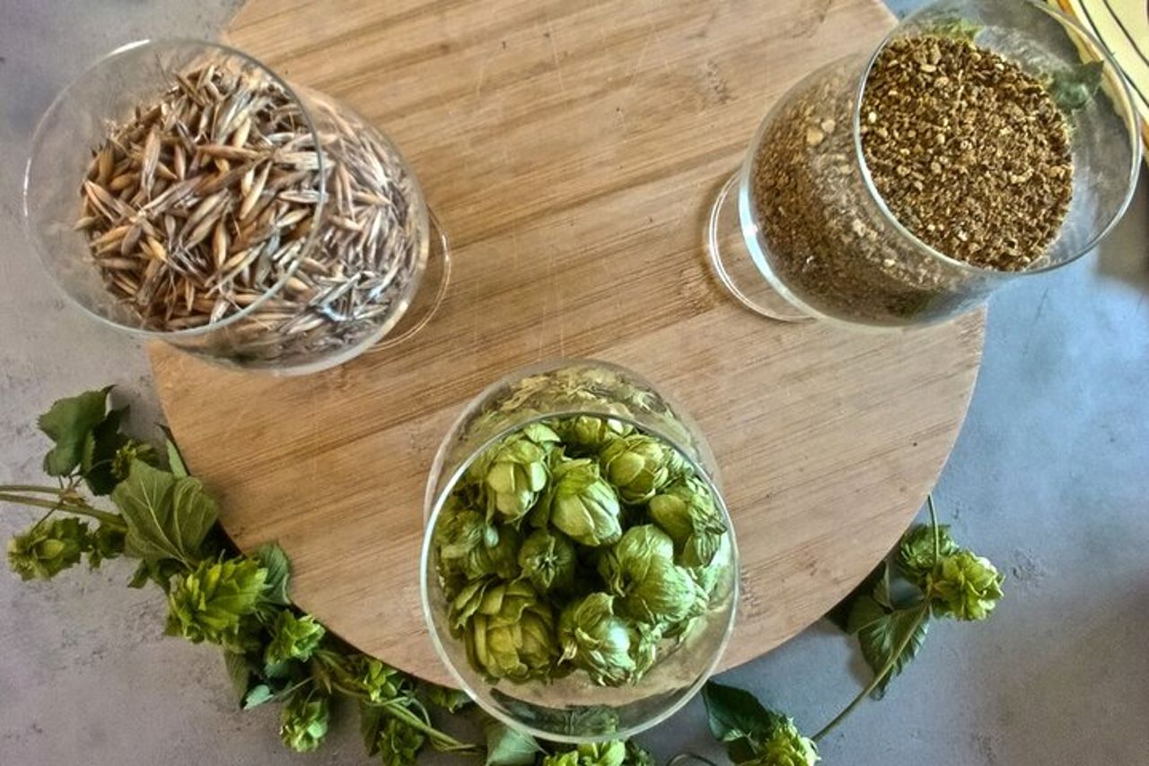 Esperienza di Birra Artigianale Tropea — 5