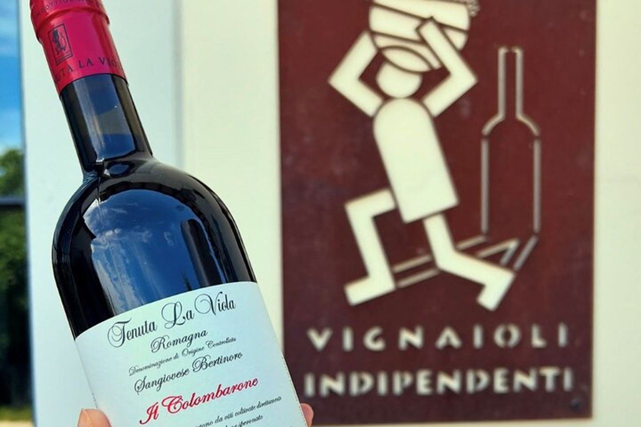 Scopri i vini italiani a Tenuta La Viola