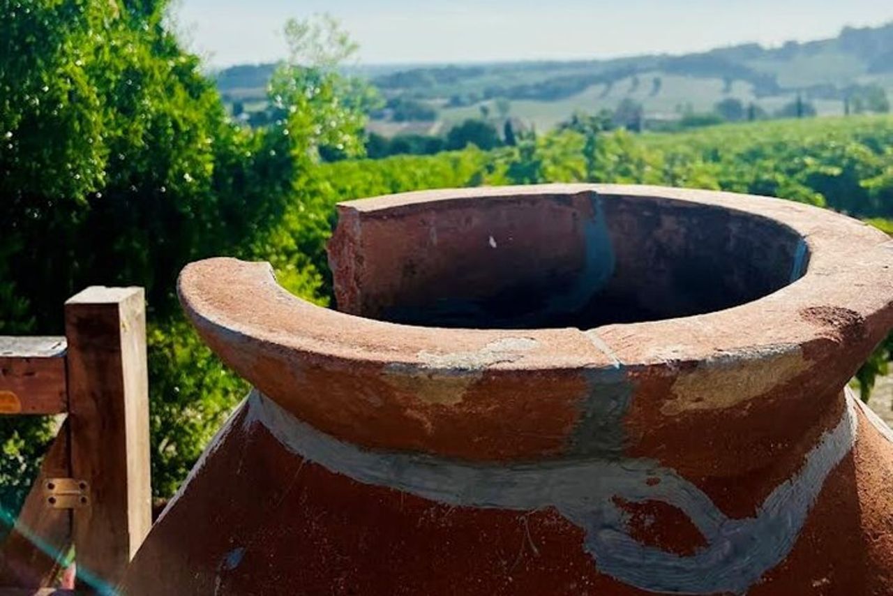 Scopri i vini italiani a Tenuta La Viola — 4