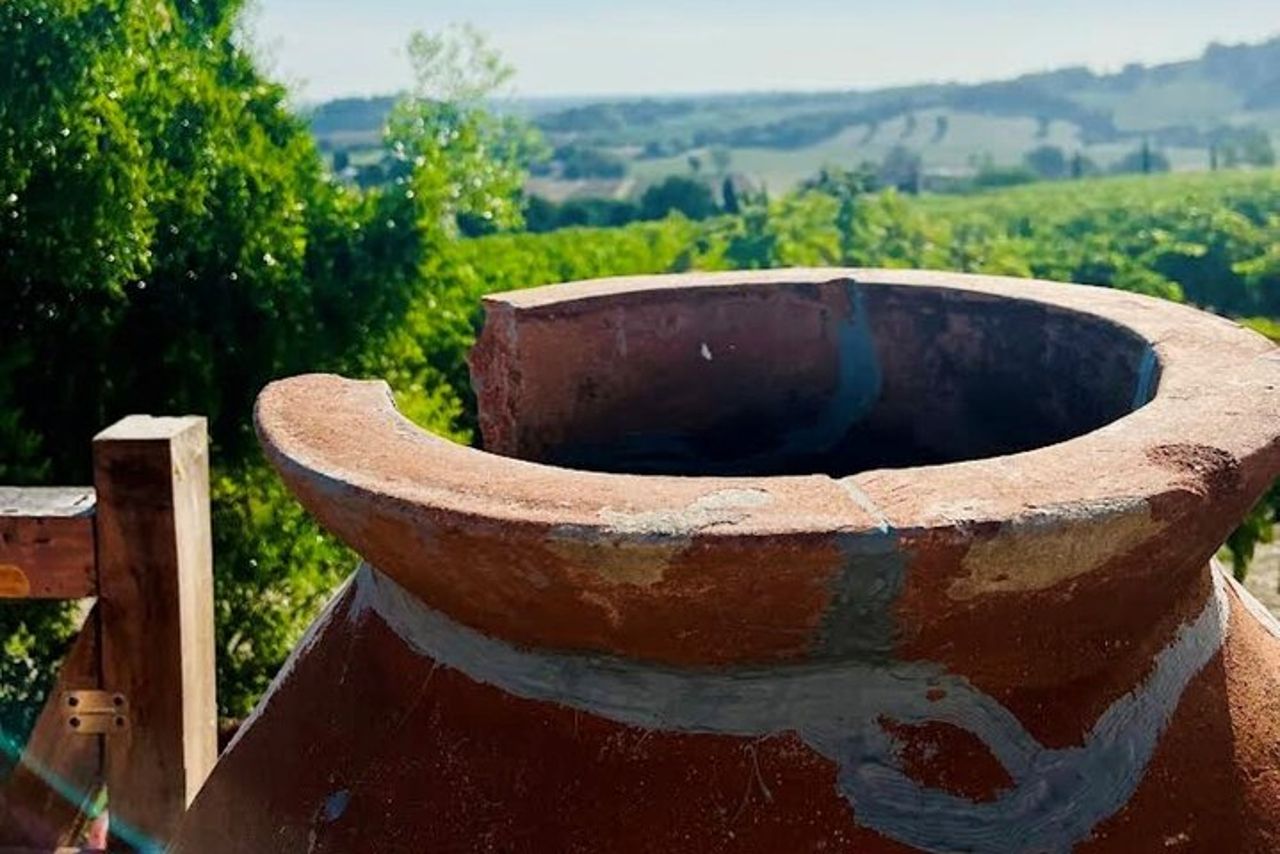 Scopri i Vini Italiani alla Tenuta La Viola con 6 Degustazioni — 3