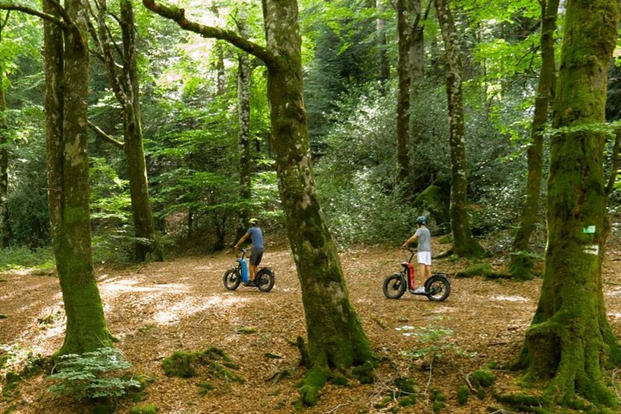 Esplora le foreste dell'Alta Linguadoca su uno scooter elettrico — 5