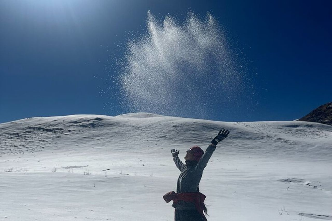 Dayara Bugyal e Surya Top Trek — 5