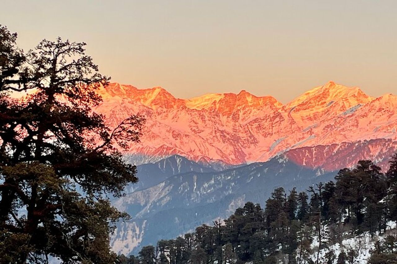 Dayara Bugyal e Surya Top Trek — 6