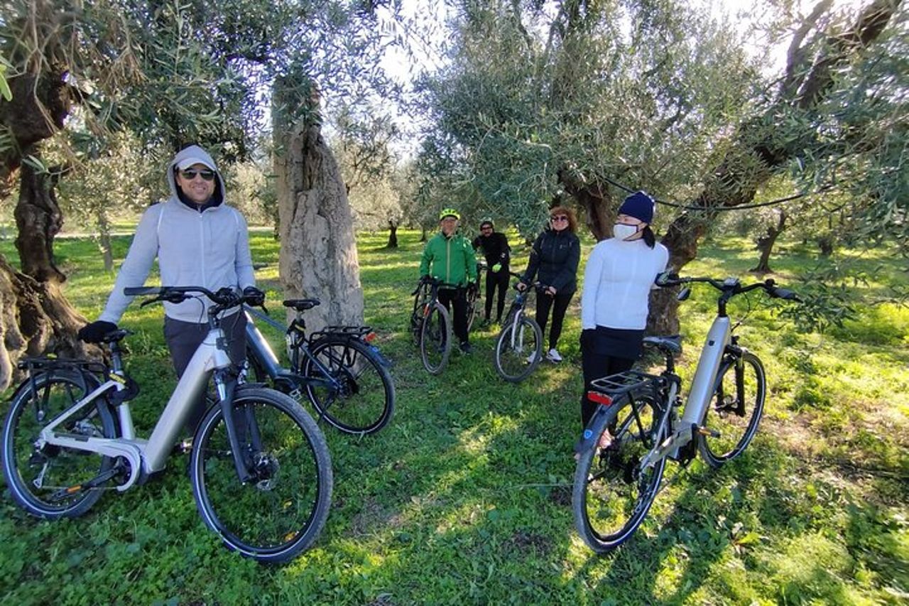 Tour in E-Bike e Degustazione di Olio d'Oliva nella Campagna Pugliese