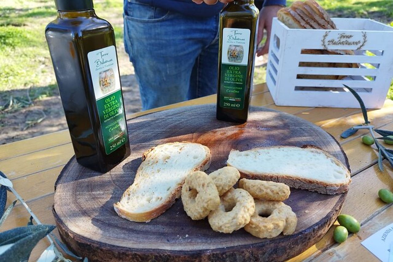 Tour in E-Bike e Degustazione di Olio d'Oliva nella Campagna Pugliese — 4