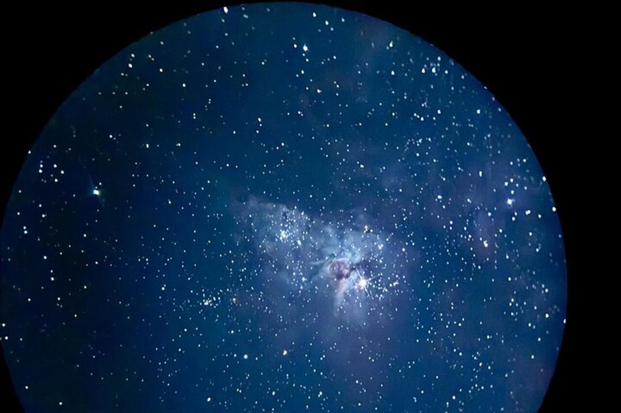 Brisbane: Vermi luminosi, Tramonto, Telescopio Stargazing & Cena — 7