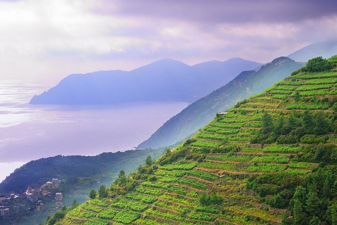 Il meglio delle Cinque Terre & Pisa Escursione privata da Livorno