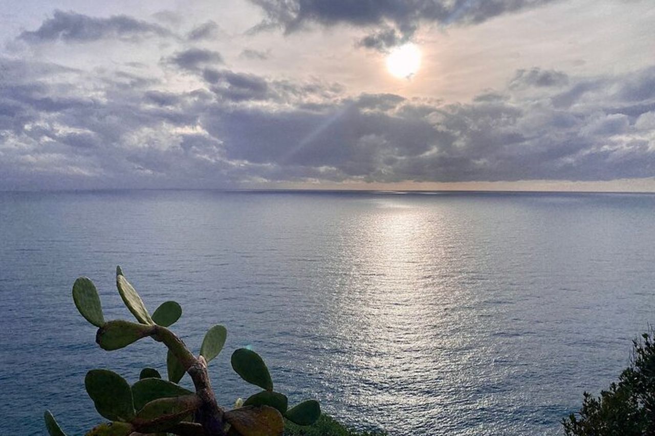 Il meglio delle Cinque Terre & Pisa Escursione privata da Livorno — 7