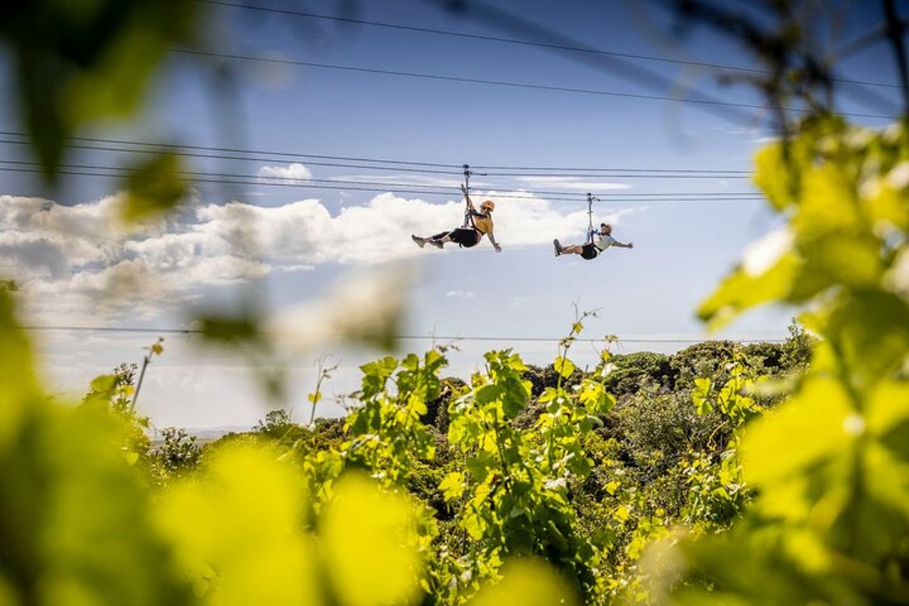 Waiheke Island Day Tour: Ziplining, degustazione di vini e pranzo in vigna — 4