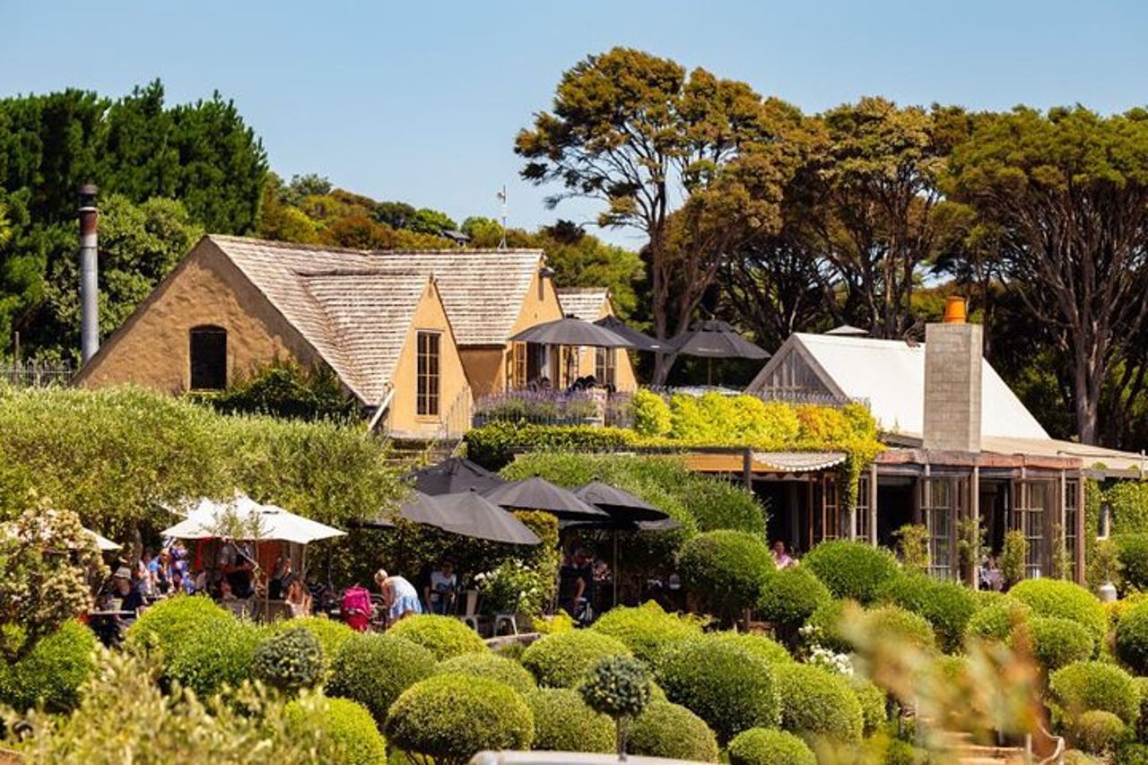 Waiheke Island Day Tour: Ziplining, degustazione di vini e pranzo in vigna — 5
