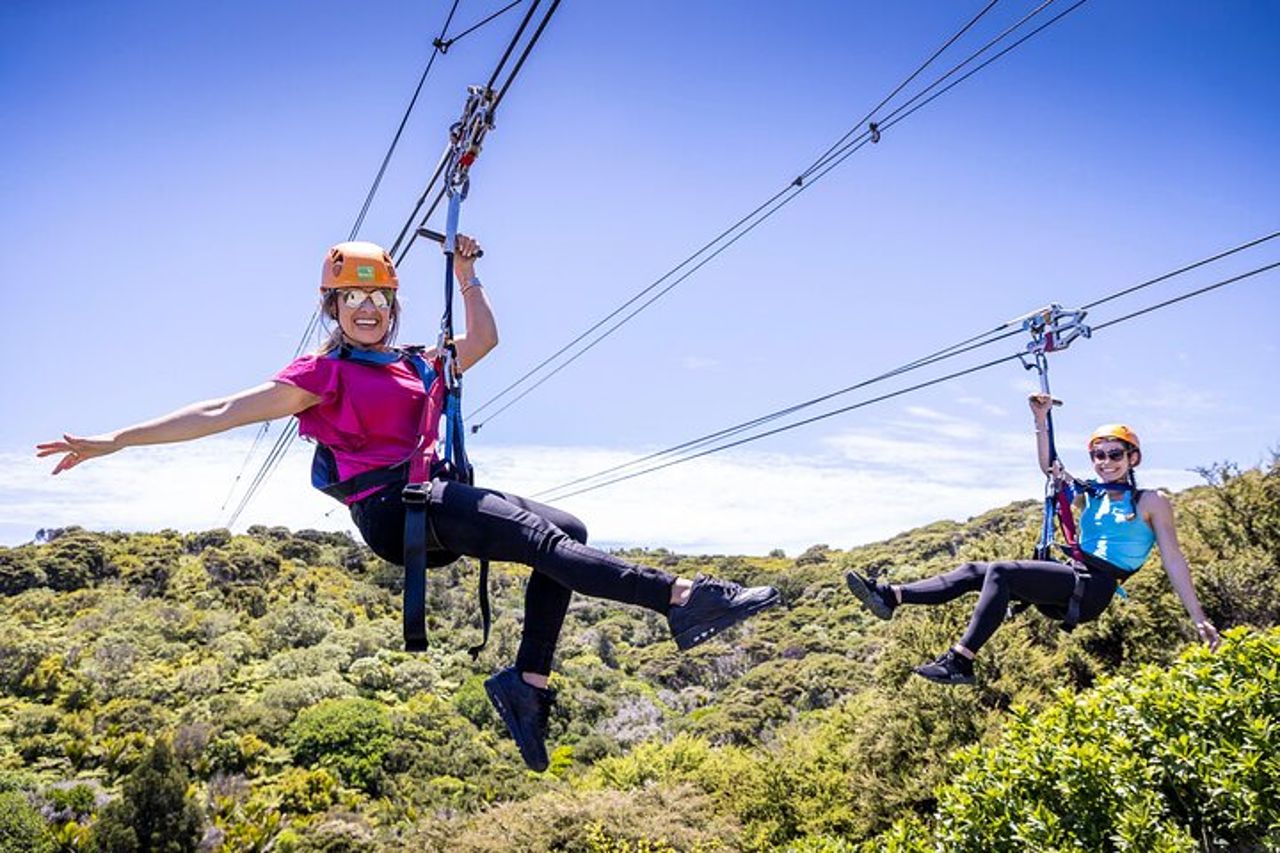 Waiheke Island Day Tour: Ziplining, degustazione di vini e pranzo in vigna