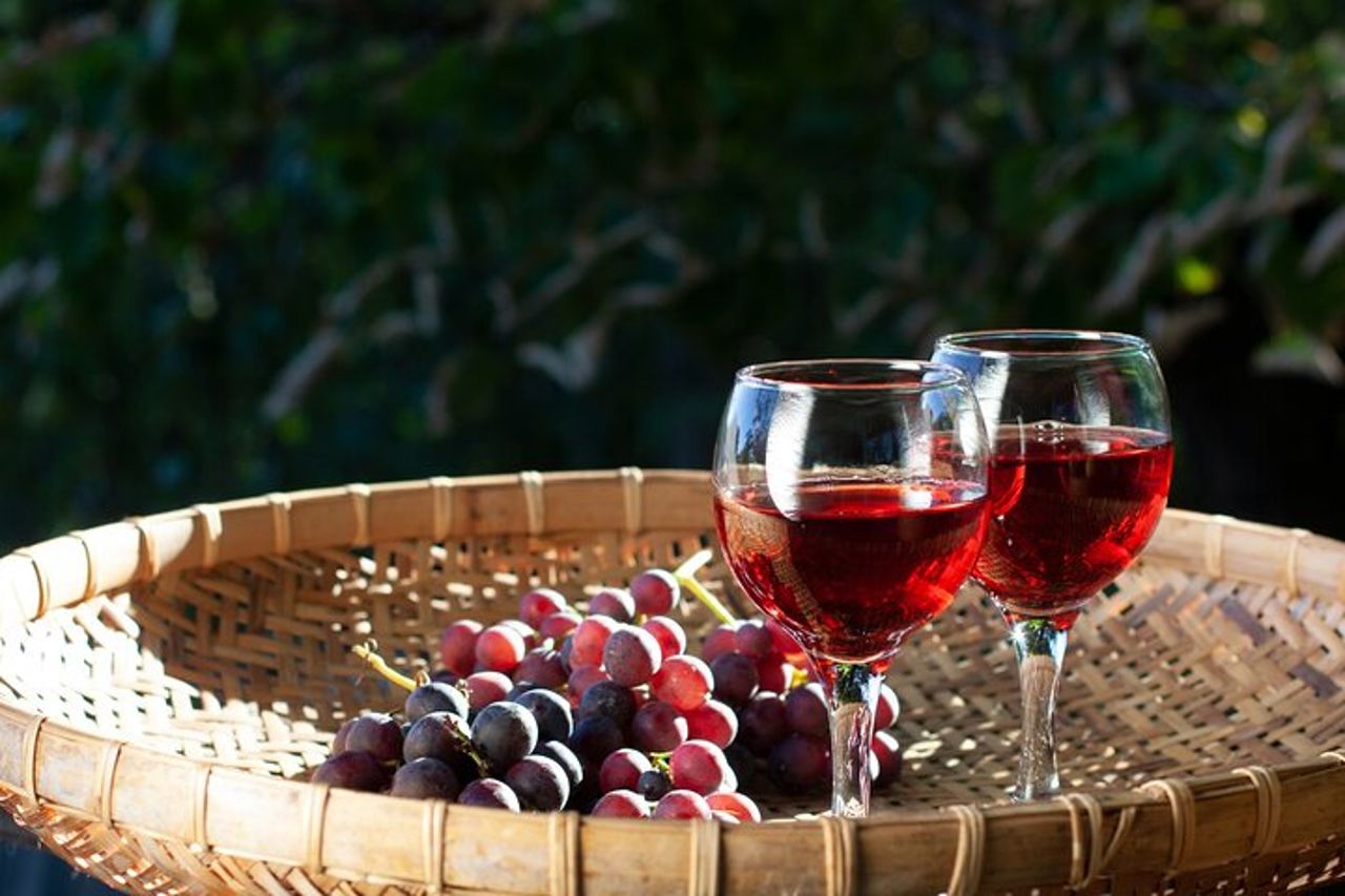 Tour Privato Cadaqués e Vini — 6