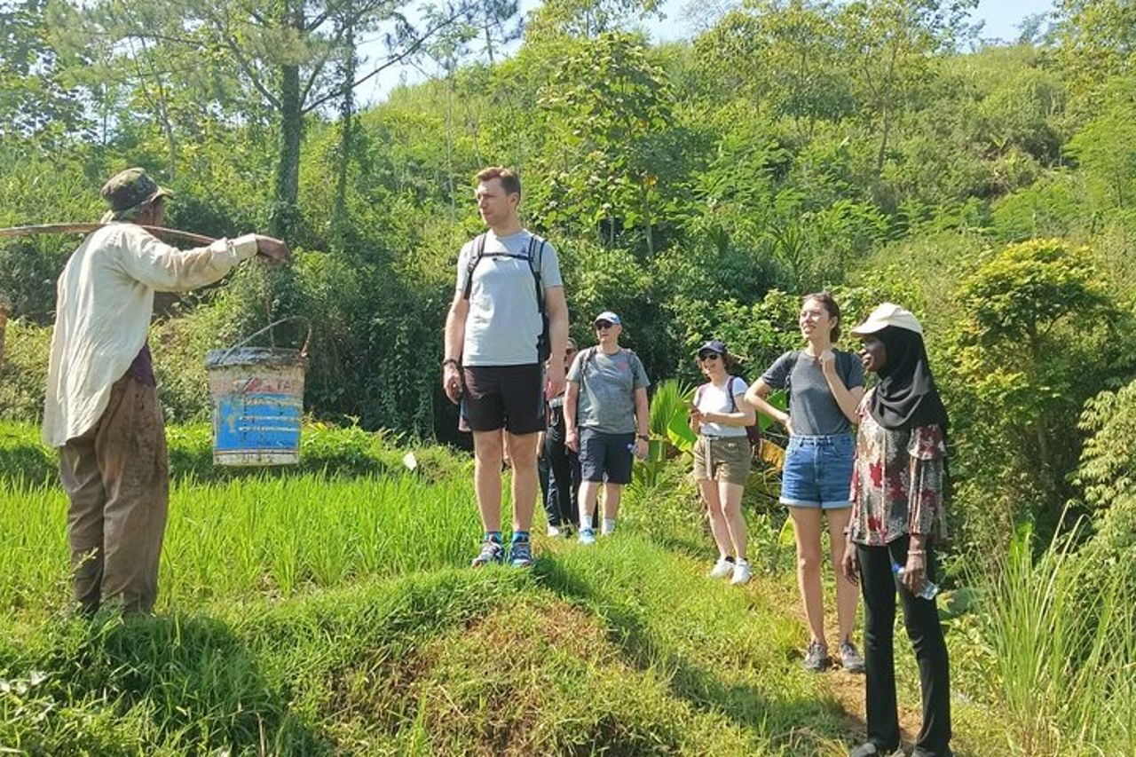 La natura curativa della campagna di Bandung — 7