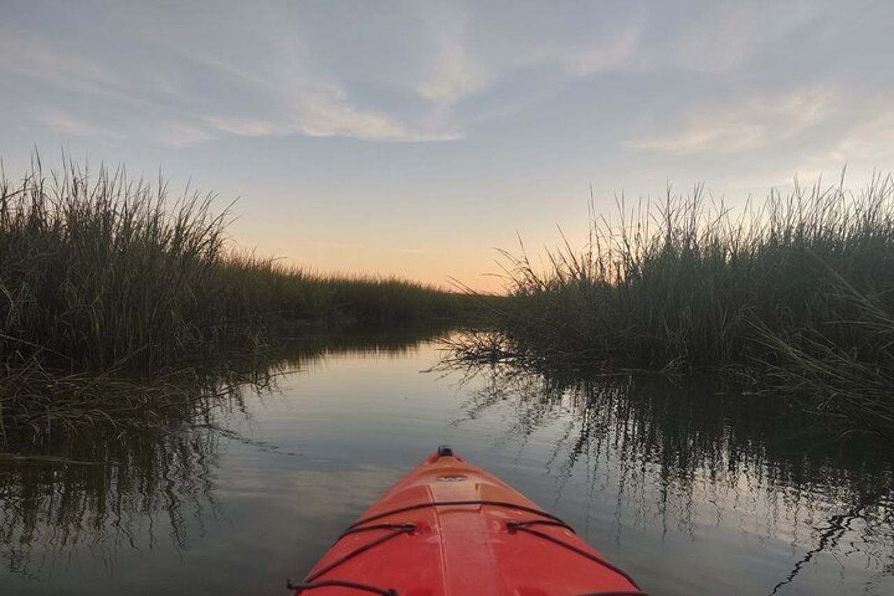 Tour privato in kayak guidato Hilton Head — 3
