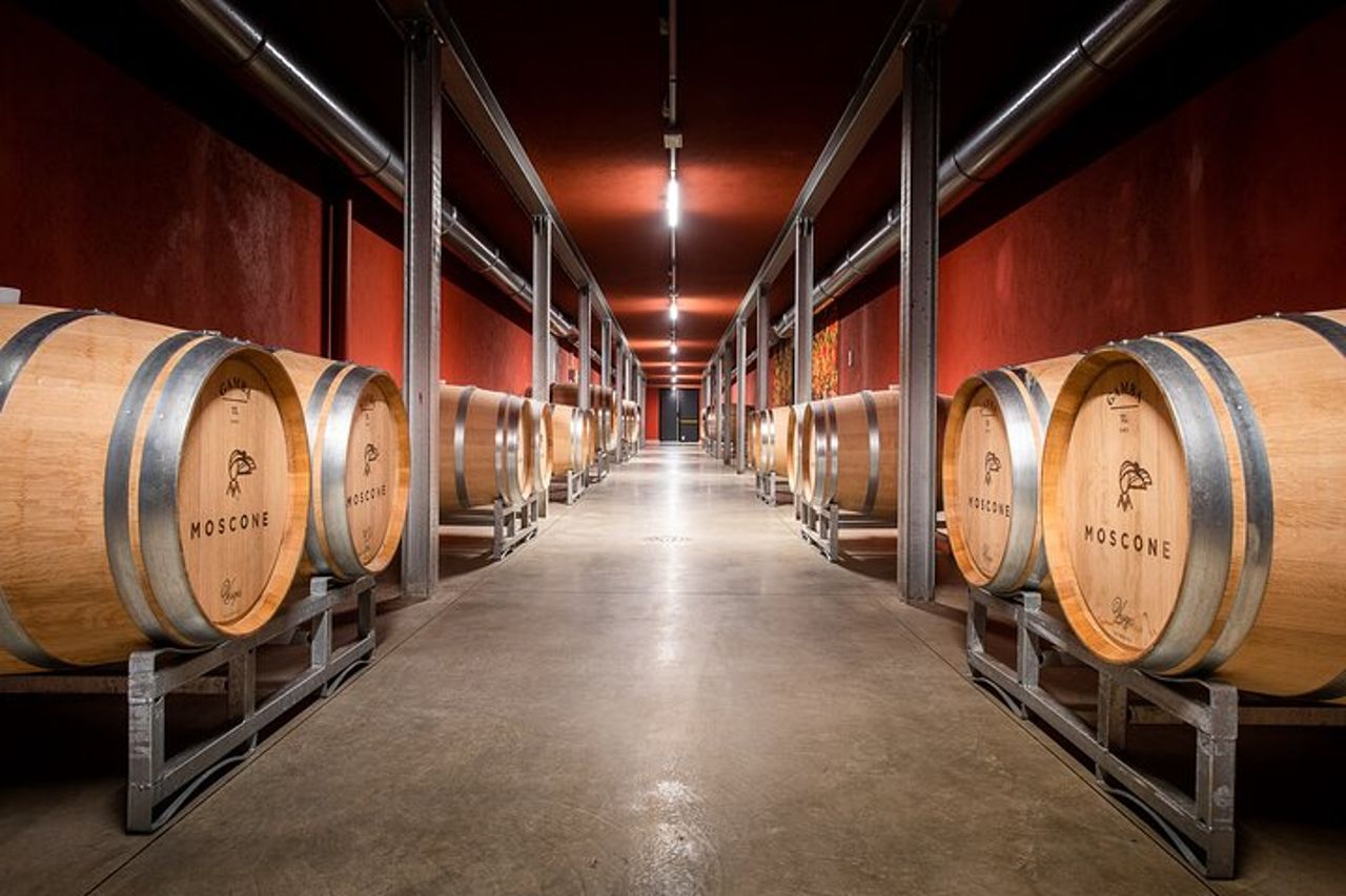 Monforte d'Alba Langhe con Degustazione di vino indimenticabile — 2