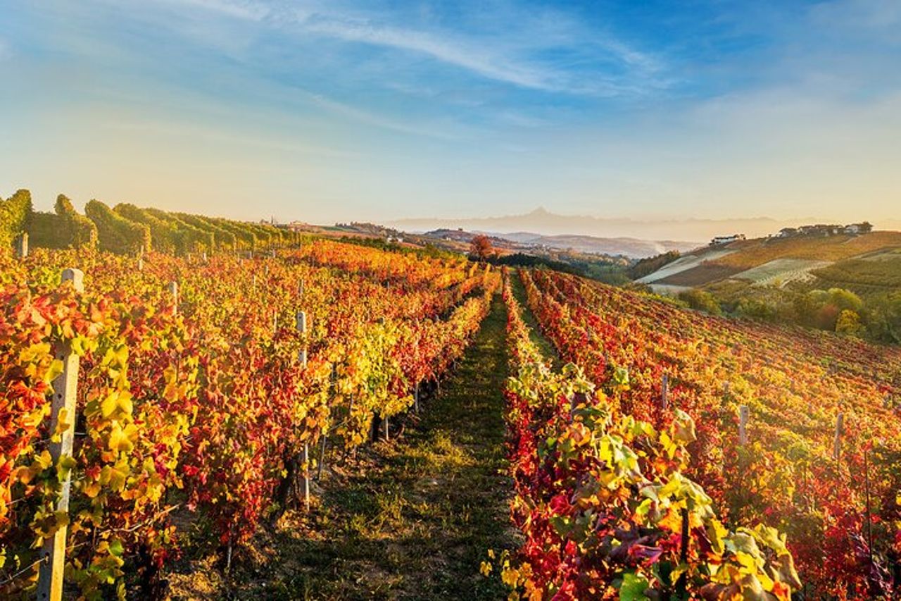 Monforte d'Alba Langhe con Degustazione di vino indimenticabile