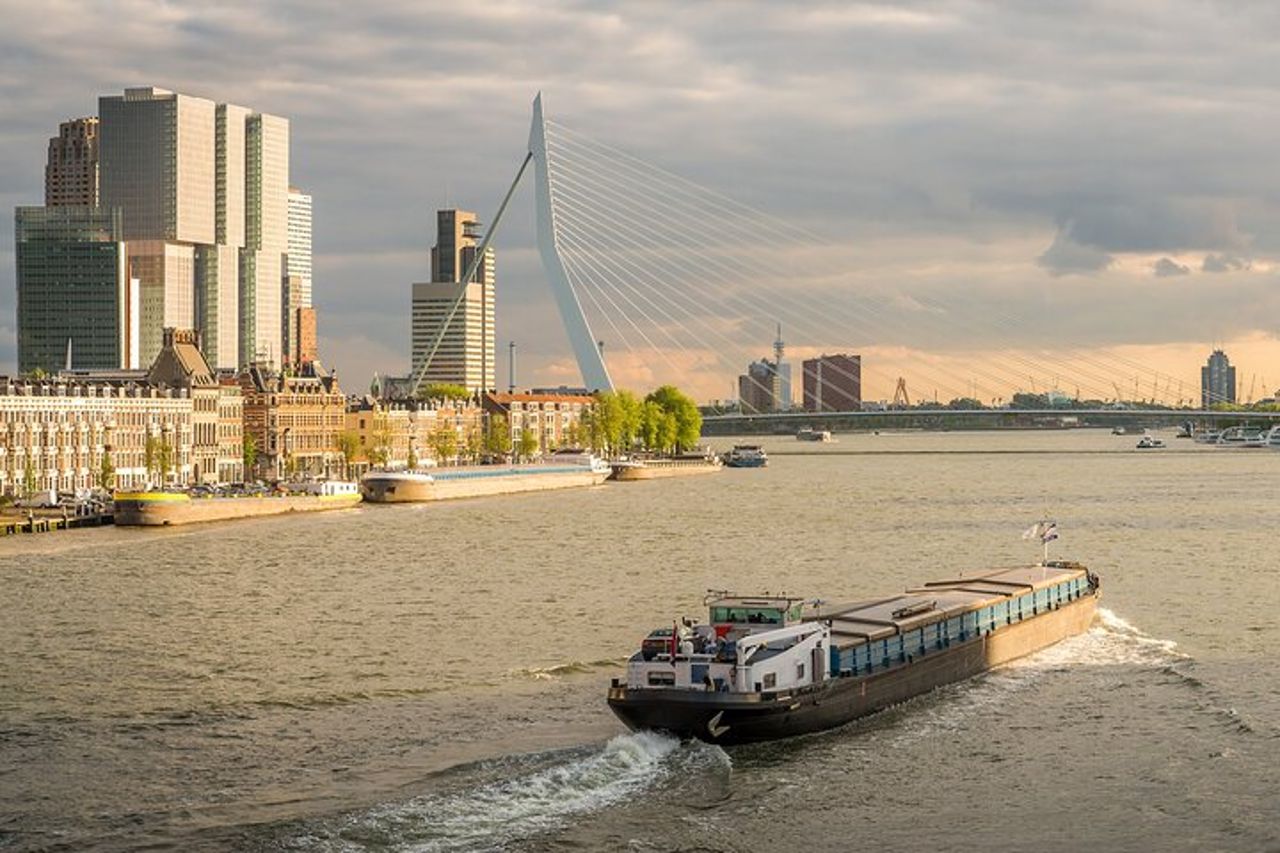 Tour privato di un giorno: Rotterdam e L'Aia. Inglese o spagnolo — 6
