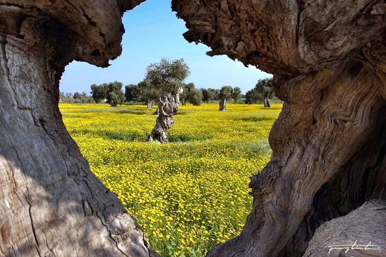 Tour Puglia di 3 giorni con sistemazione — 2