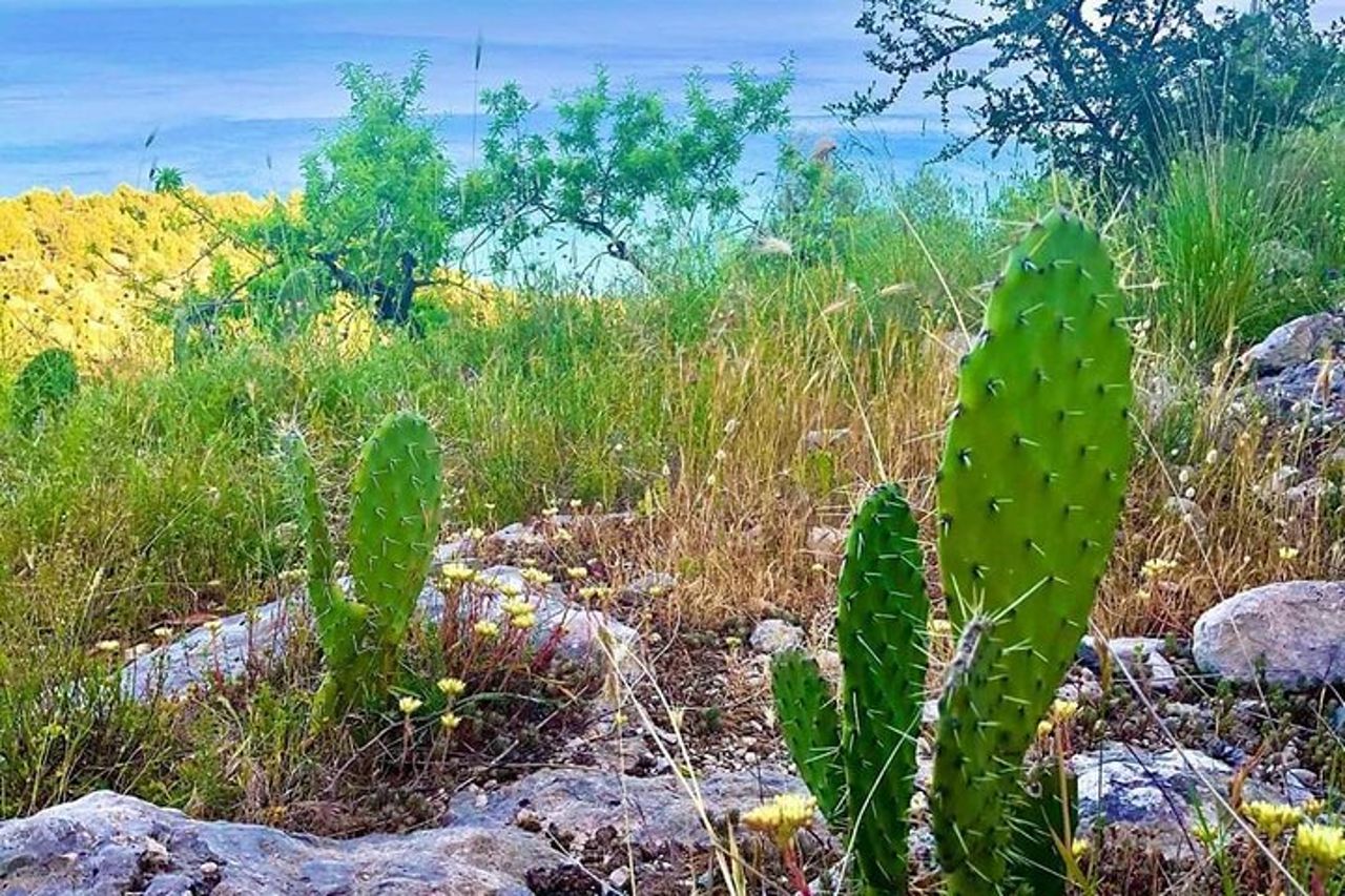 Tour Puglia di 3 giorni con sistemazione — 7