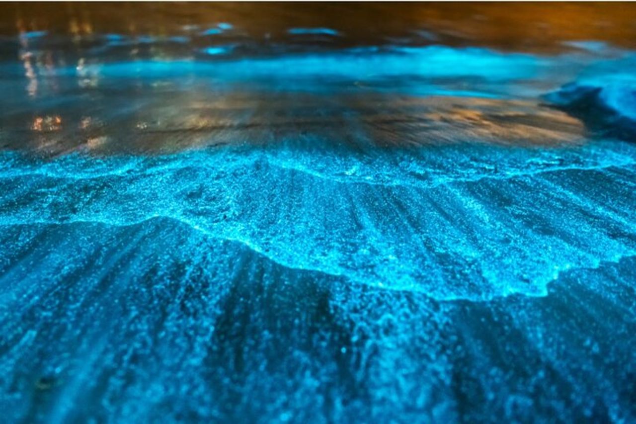 Bioluminiscenza in kayak o SUP a Los Arcos Puerto Vallarta