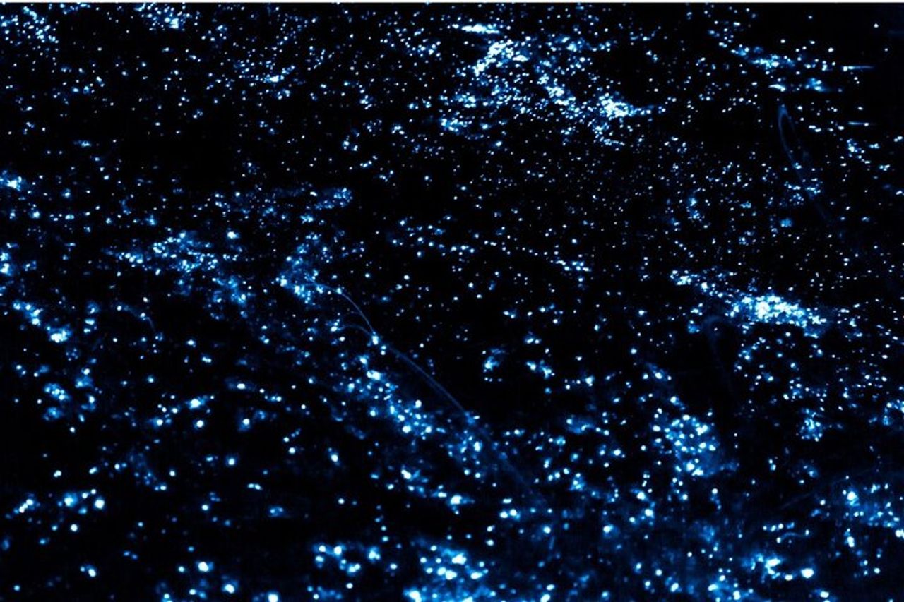 Bioluminiscenza in kayak o SUP a Los Arcos Puerto Vallarta — 3